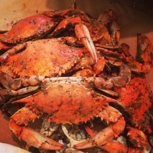 maryland steamed crabs