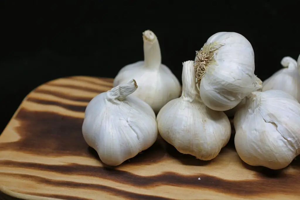 garlic cloves