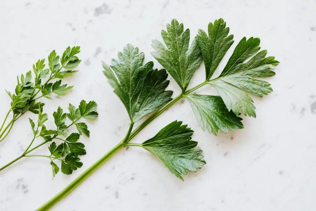 Fresh parsley flakes. You can also use dry parsley flakes if you don't have access to the fresh variety