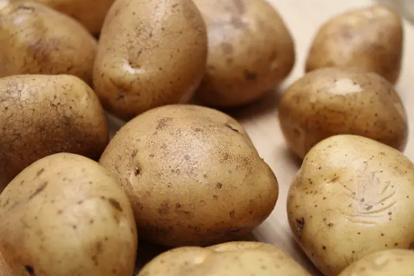 potatoes - ingredients for clam chowder