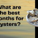 what are the best months for oysters
