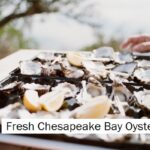 chesapeake-bay-oysters-shucked