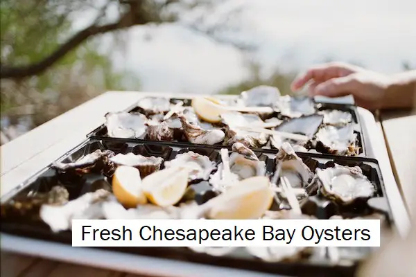 How long do oysters last in the shells? chesapeake bay oysters shucked 