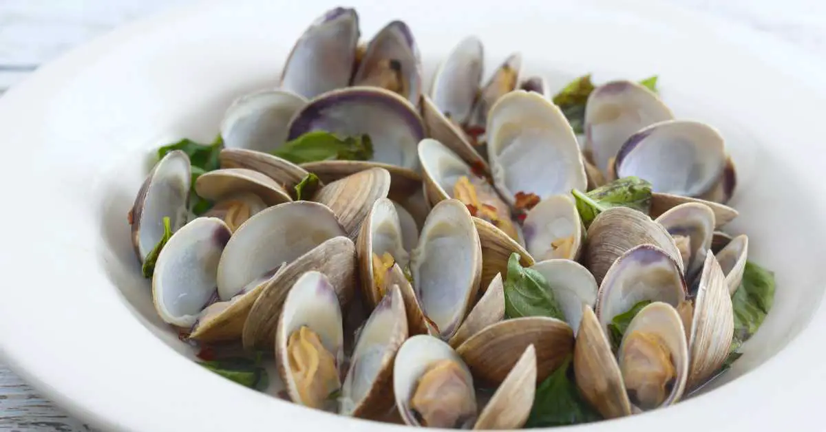 what are the best clams for steaming?